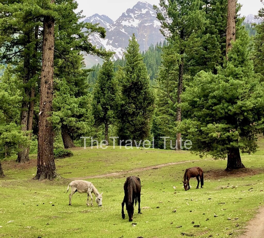 Places to Visit in Skardu