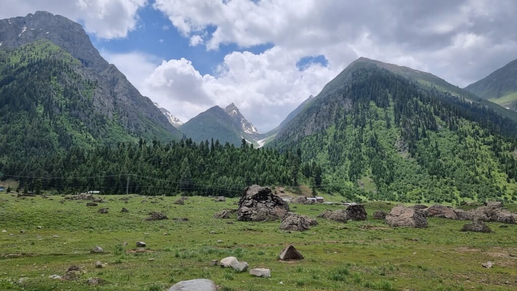 Domel Minimarg