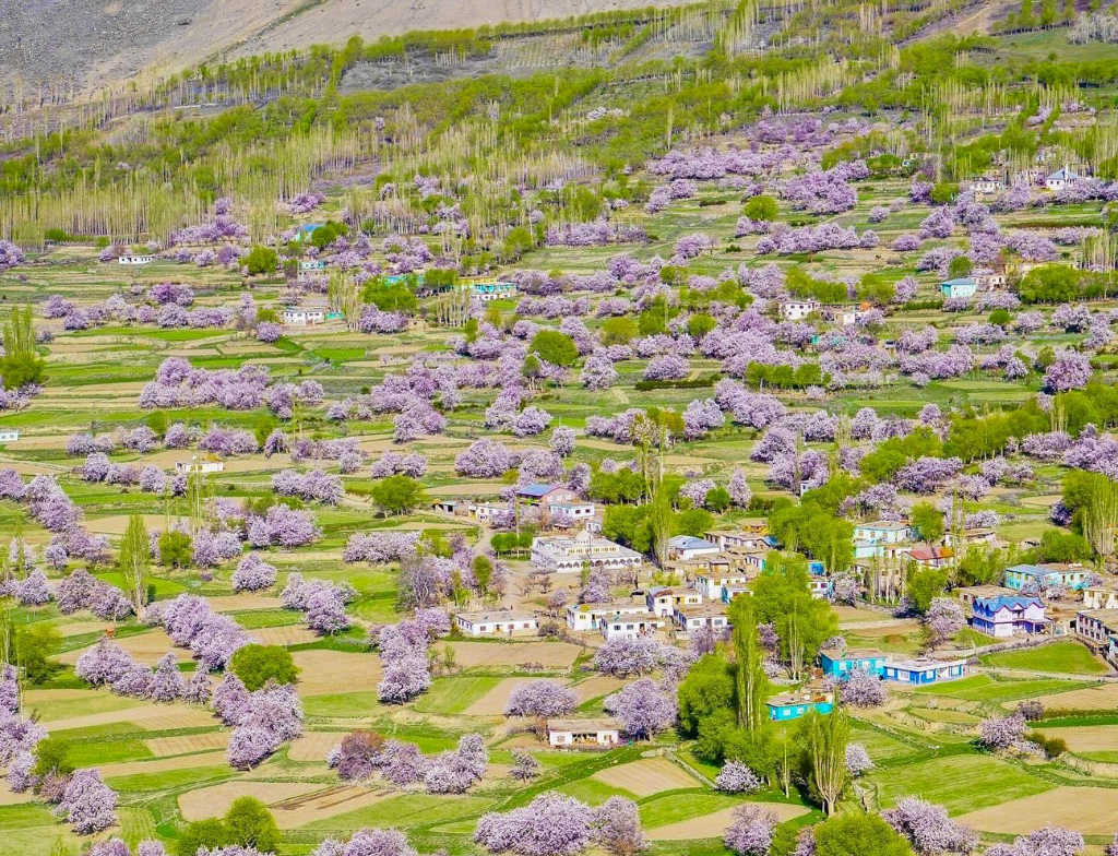 chunda valley