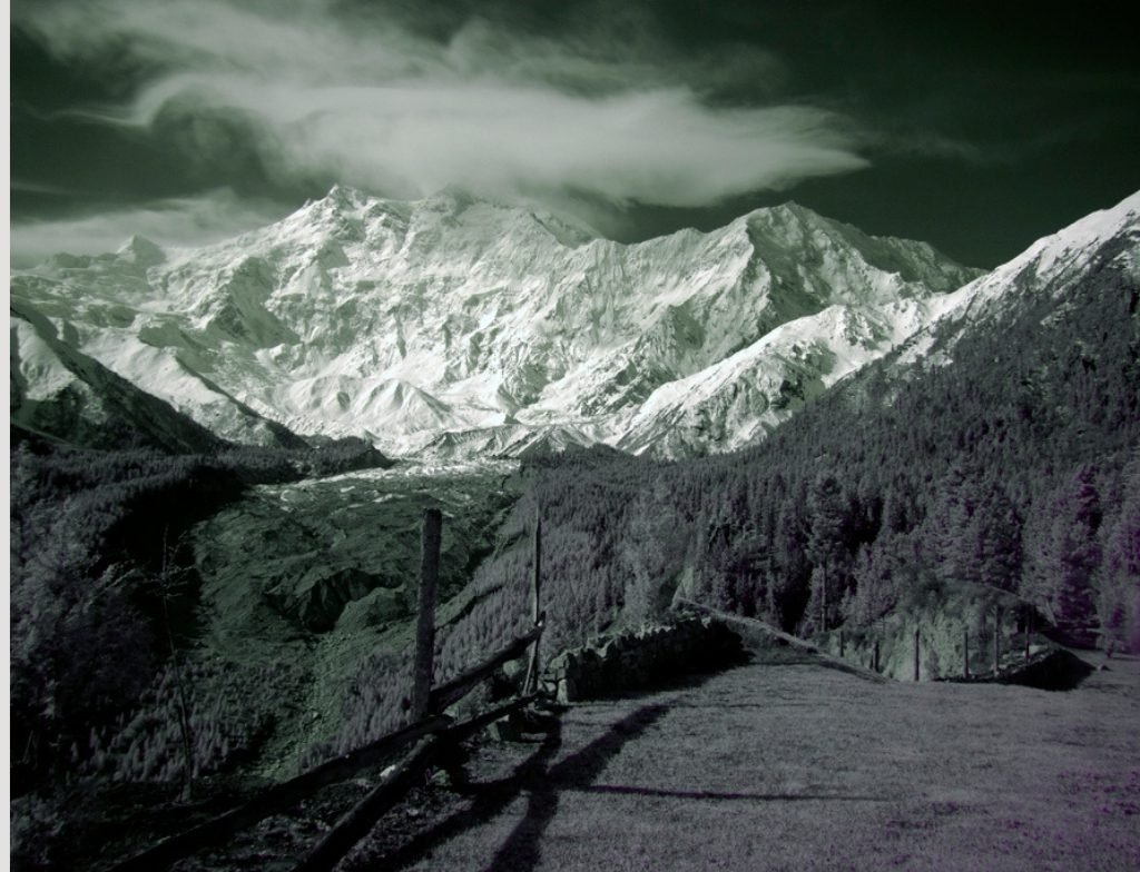 night view of fairy meadows