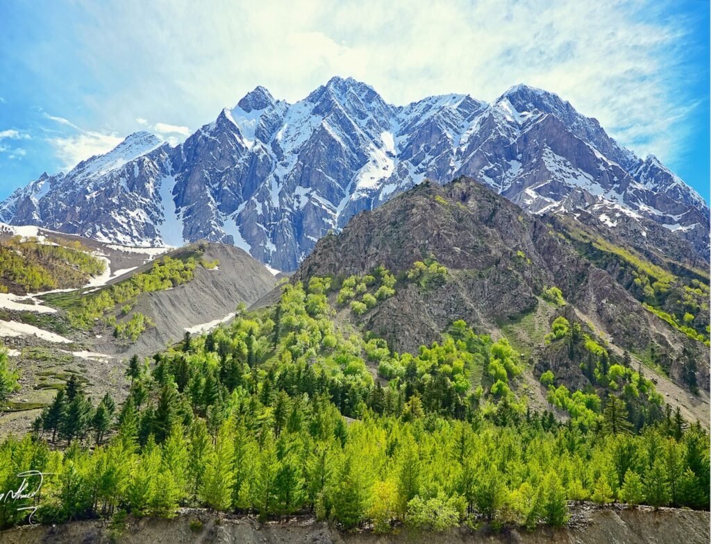 Naltar Bala