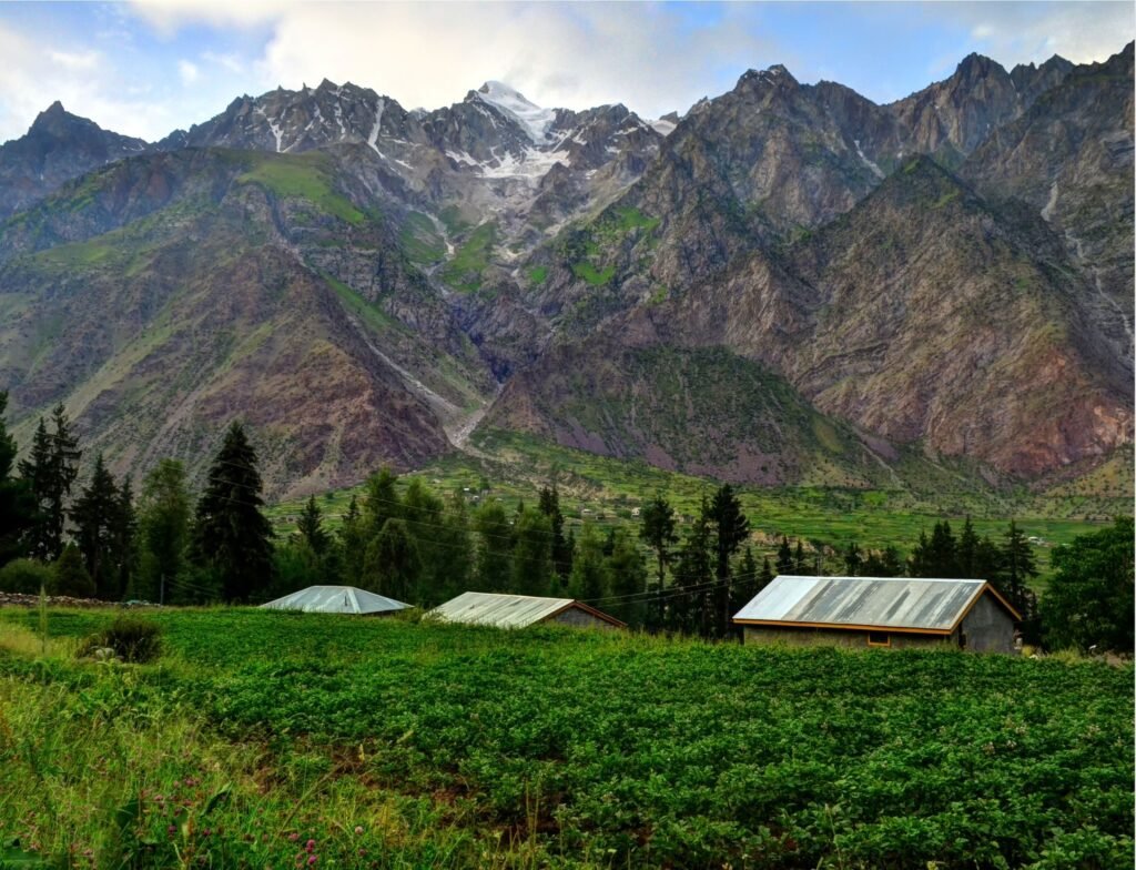 Nature's Alpine Retreat Naltar Valley Hunza
