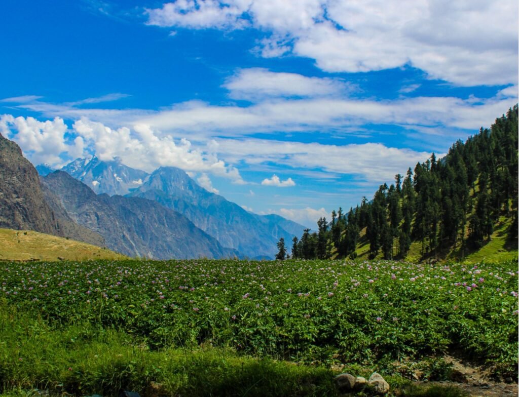 naltar valley