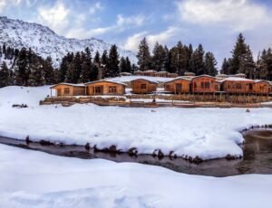 FairyMeadows