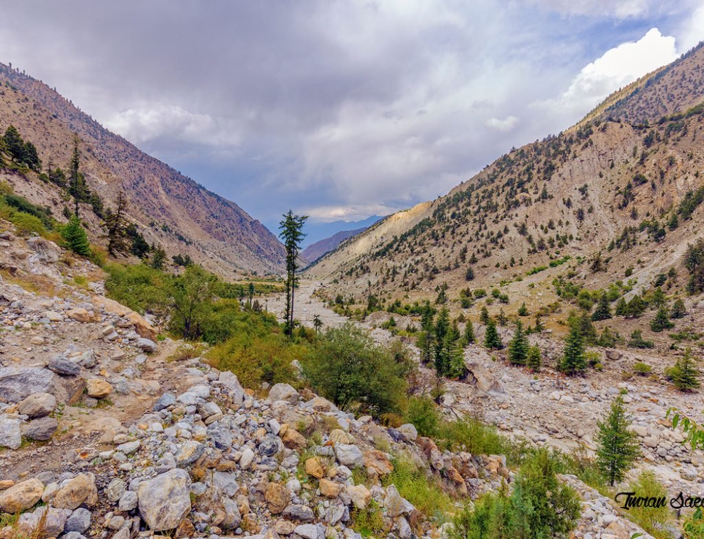 trek route 