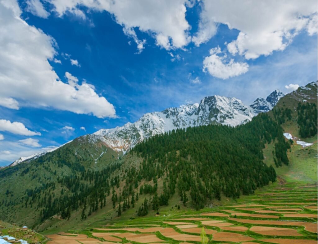 Naltar Meadows