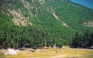ushu forest