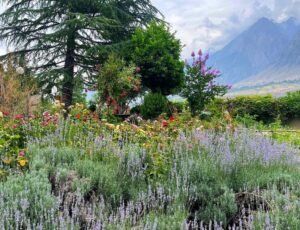 Kalash Valley