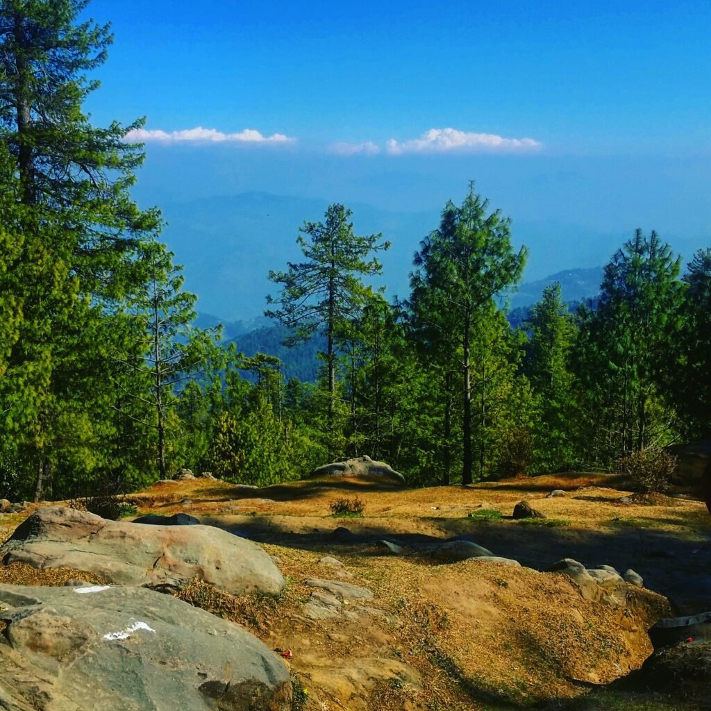 best time to visitpatriata