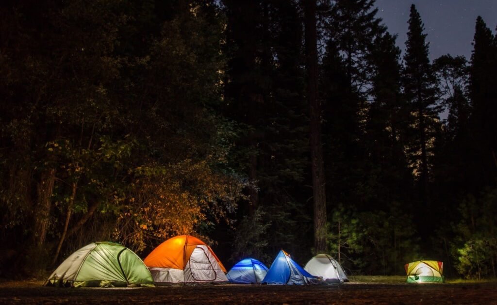 sharan forest camp