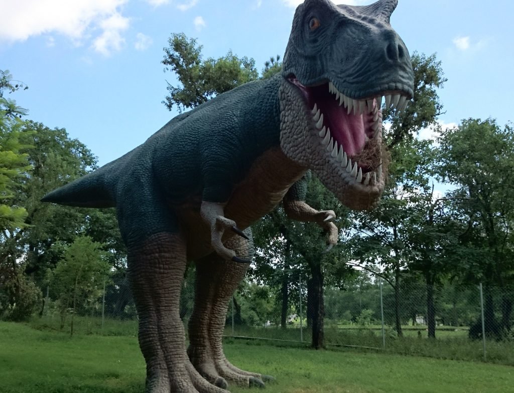 dino parkislamabad