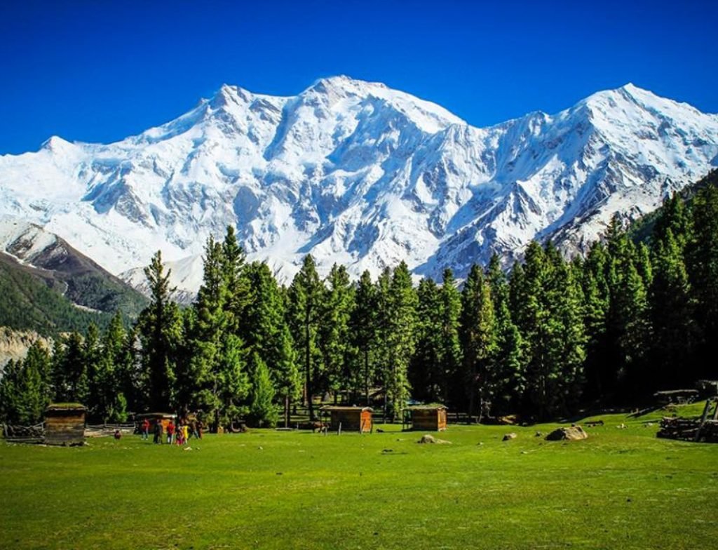 fairy meadows