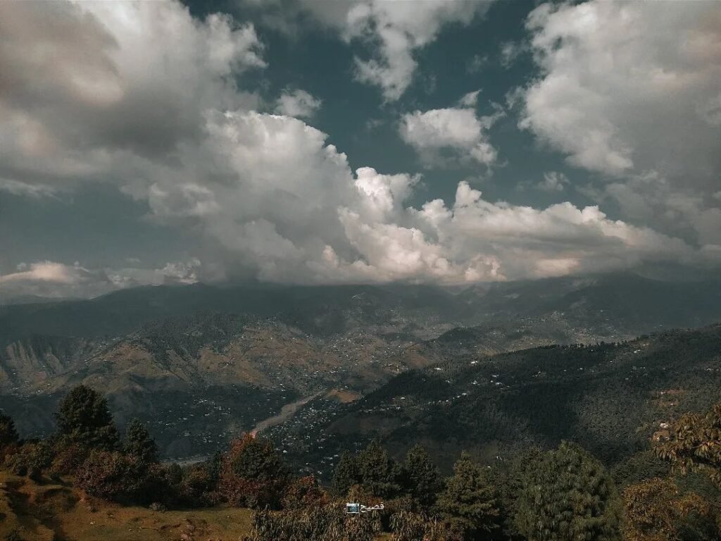 Toli Peer Top