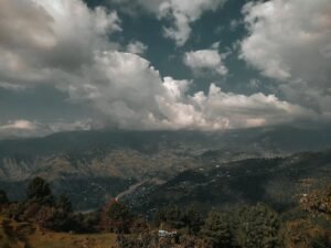Toli Peer Top