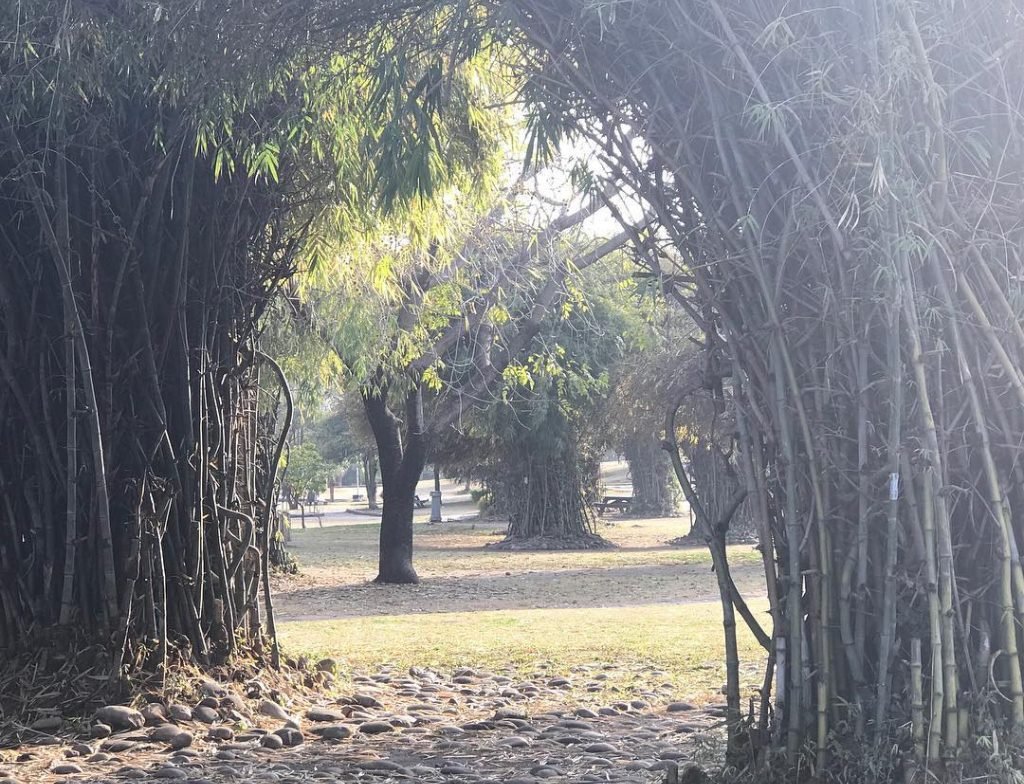 japanese park islamabad