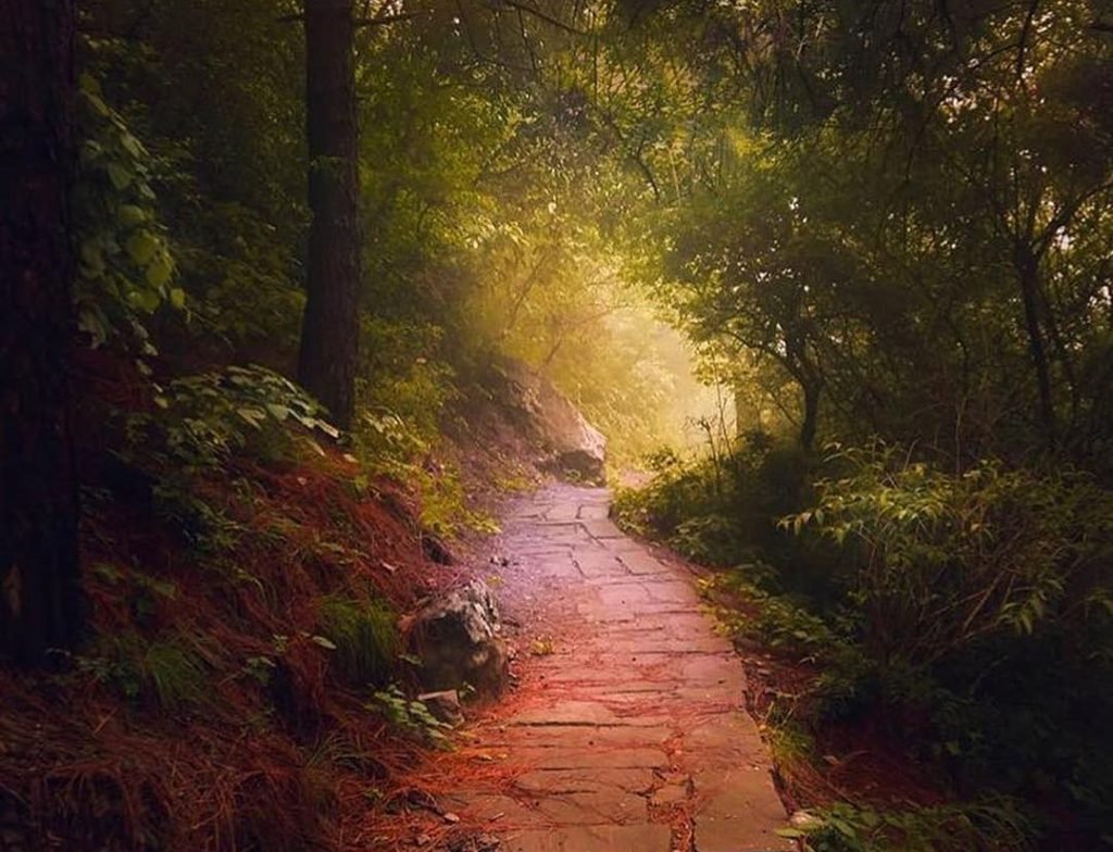 margalla park islamabad