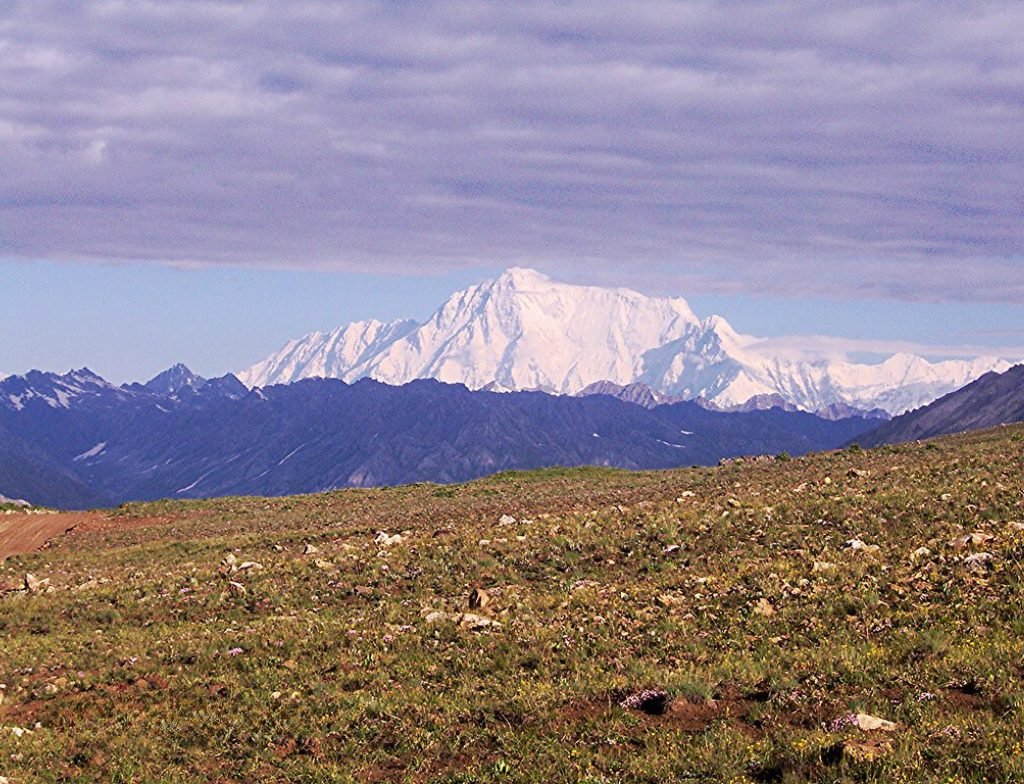 nangaparbat view fromdeosai
