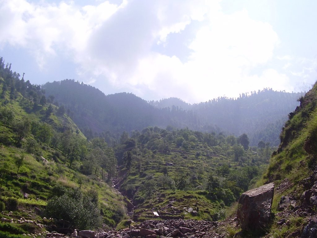 paras valley sharan