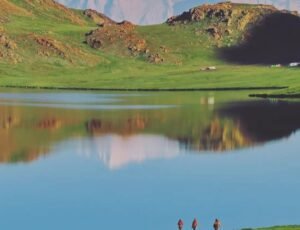 DEOSAI