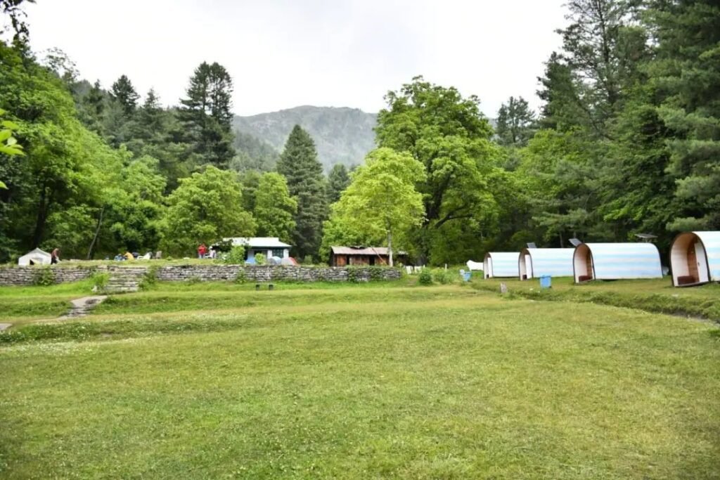 podssharanForest