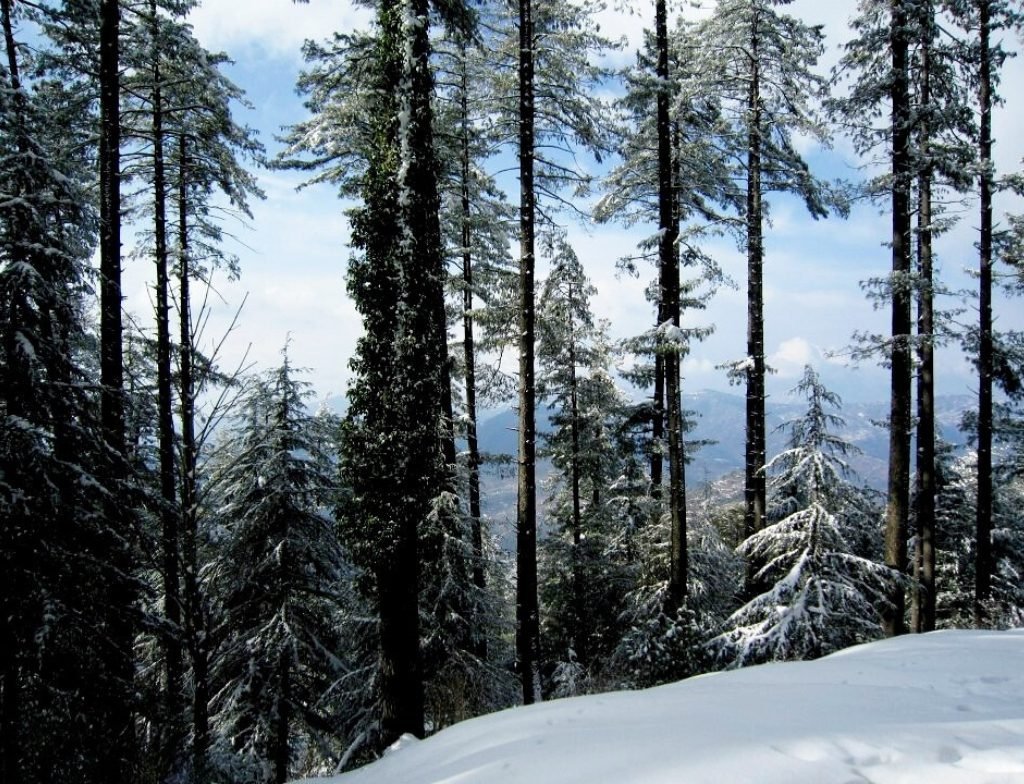 patriata weather