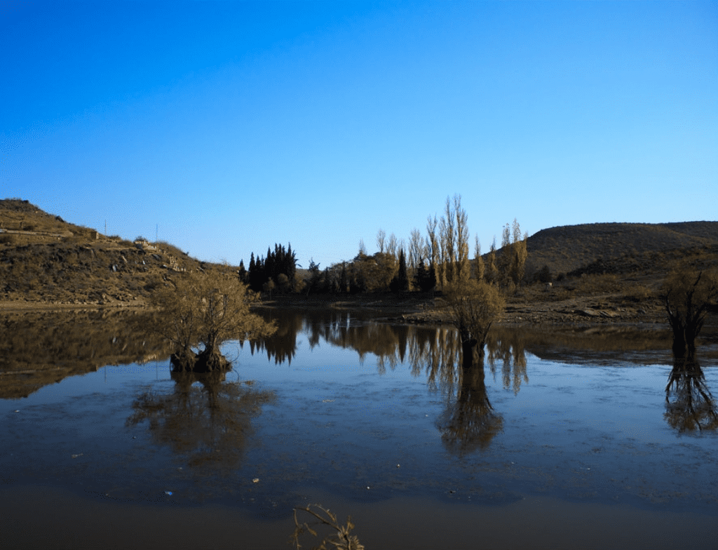 fort munro dhemis lake
