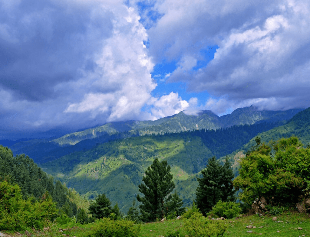 SHARAN FOREST KaGHAN VALLEY