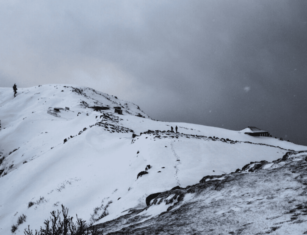 toli peer in winter