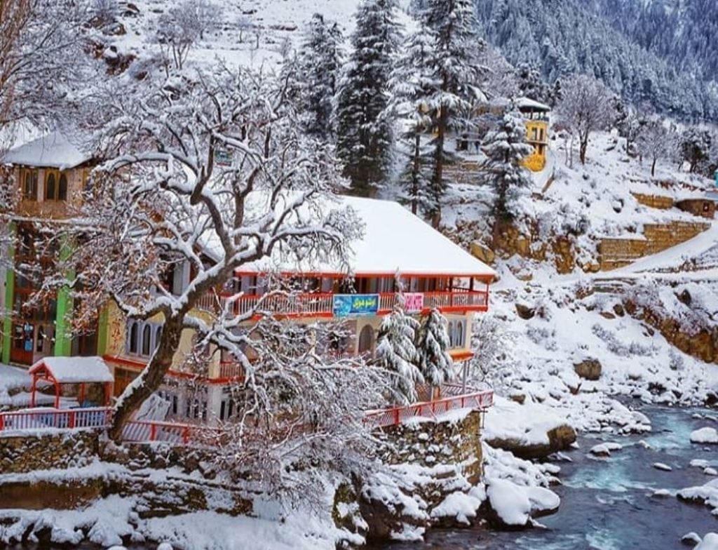 ushu forest in winter