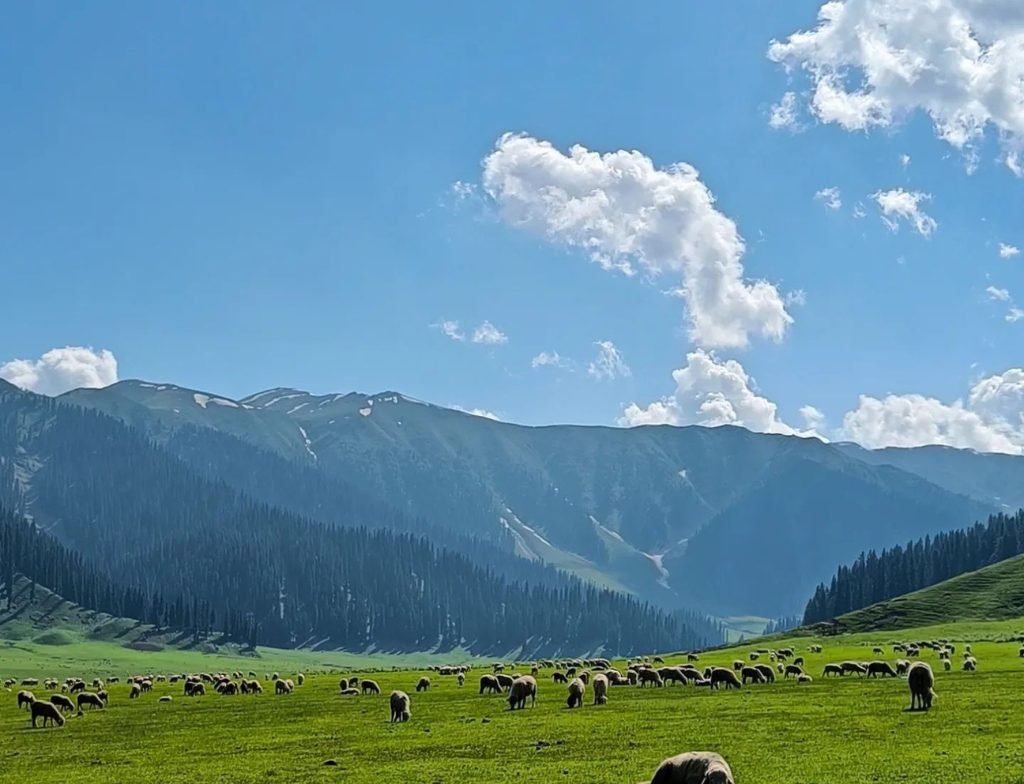 bungus valley