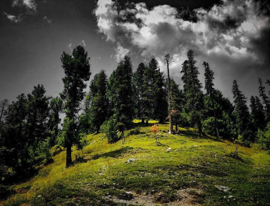 changla gali