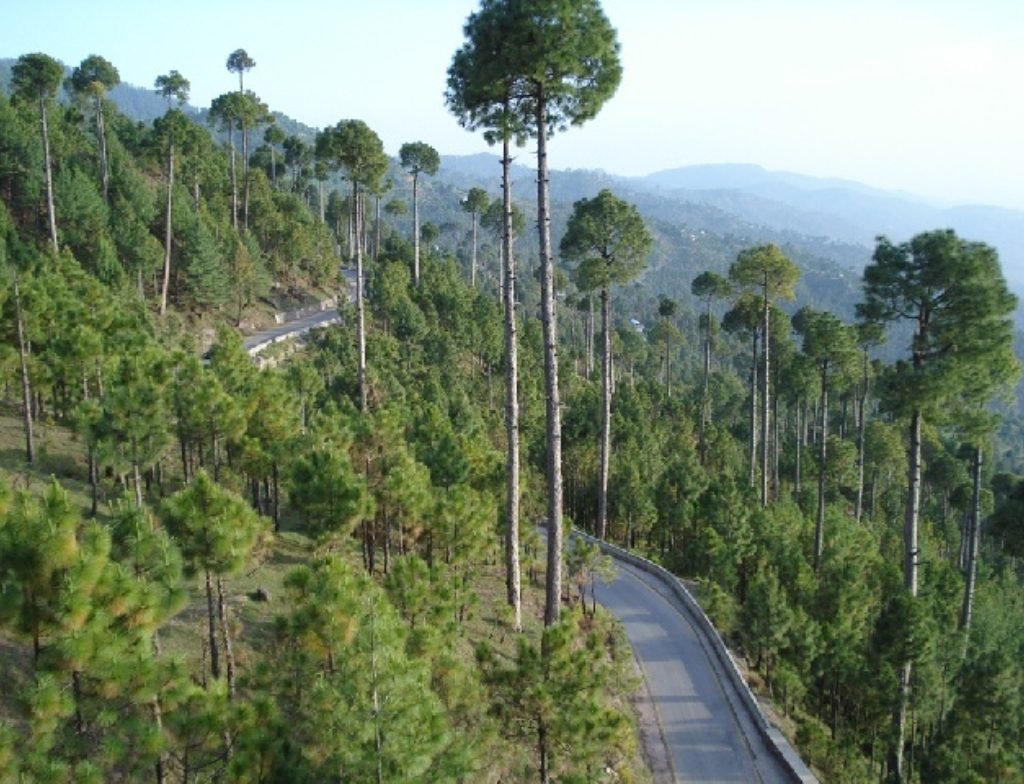patriata Shareef Murree height