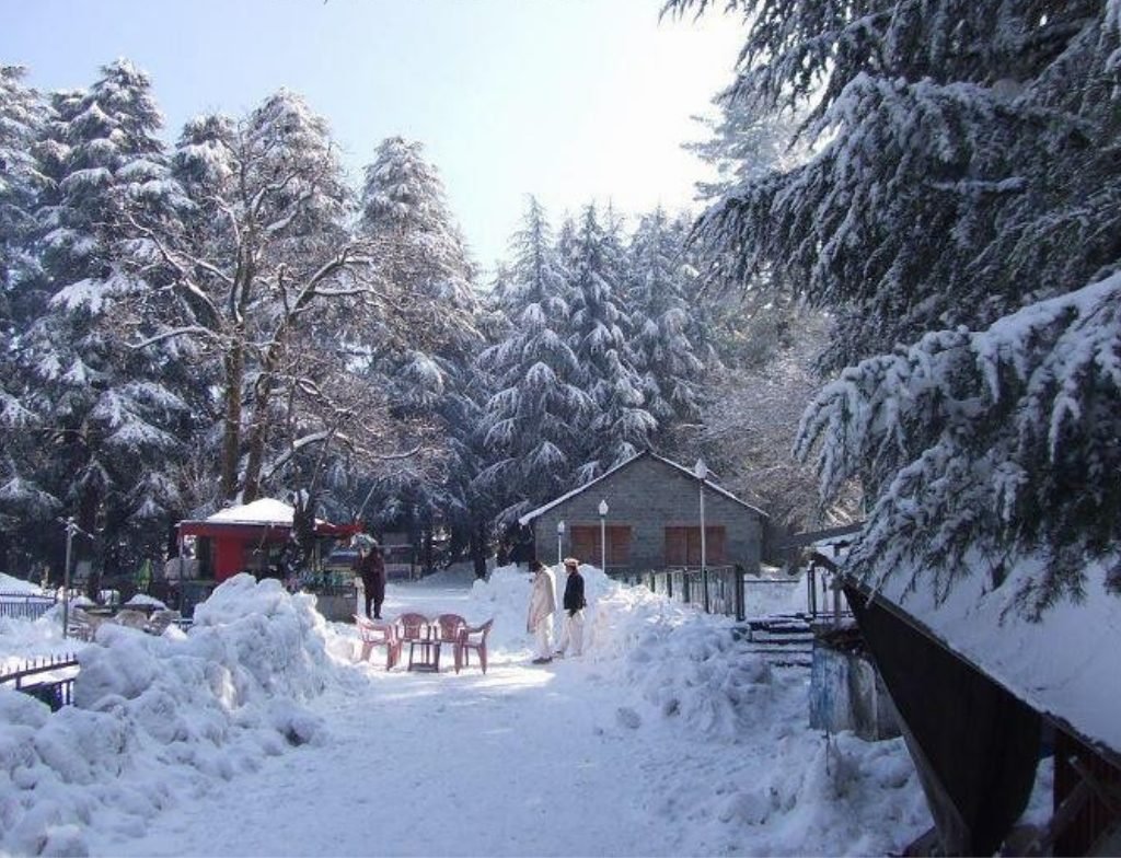 patriata murree