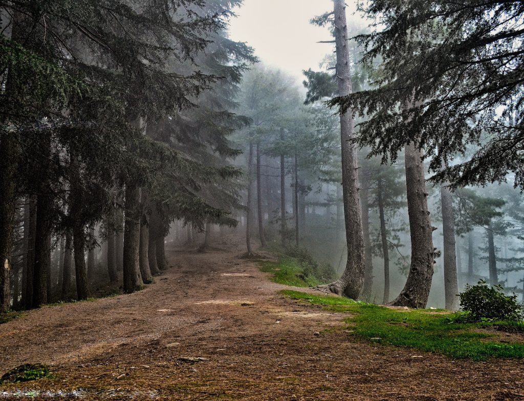 trails of patriata Shareef Murree