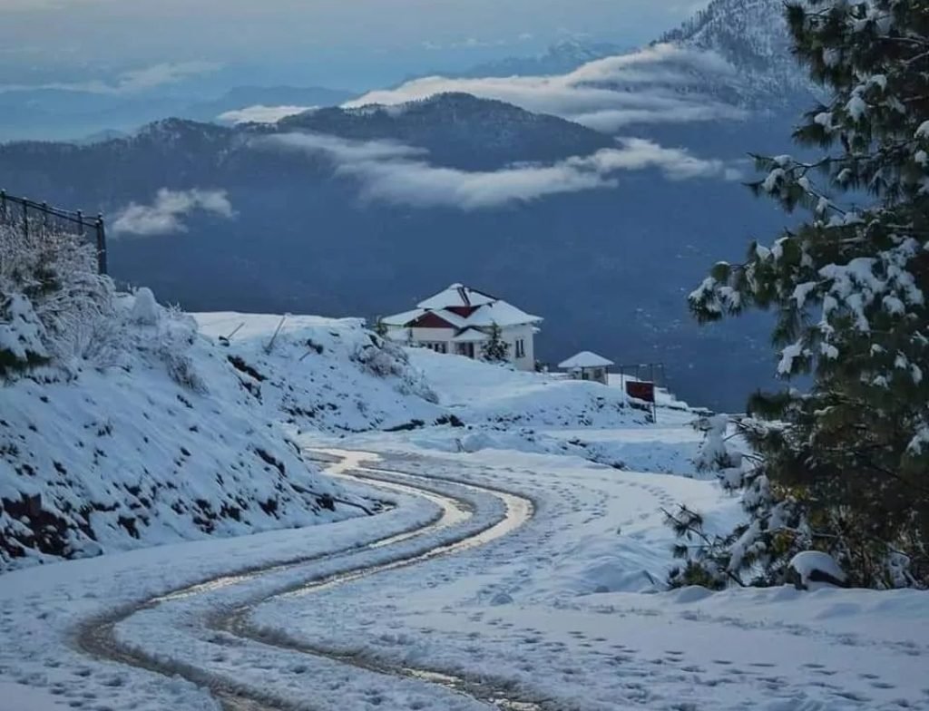 Pir chinasi