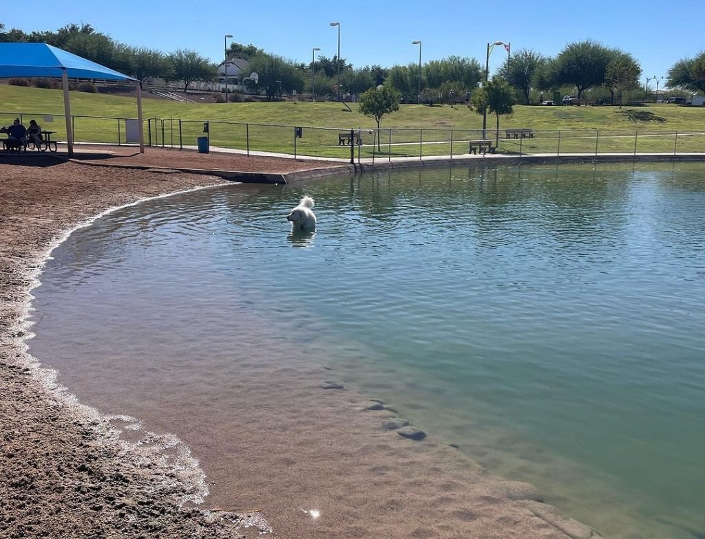 cosmo dog park : Best Dog Parks in the US Off Leash Dog Areas