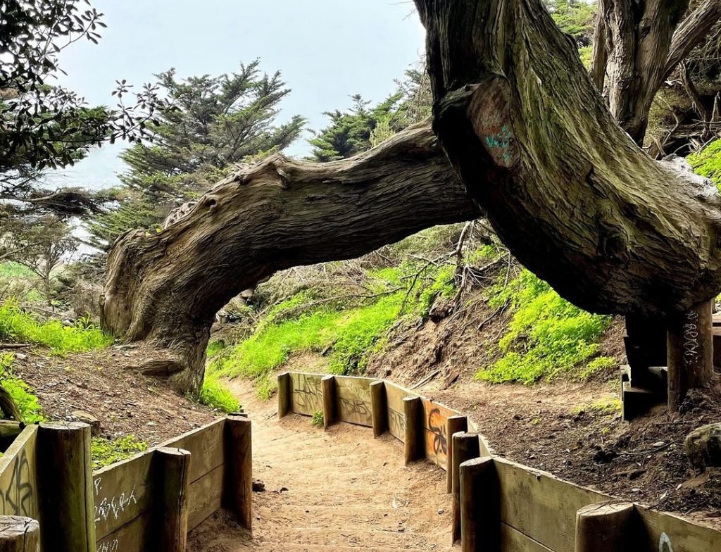 Lands End Trail