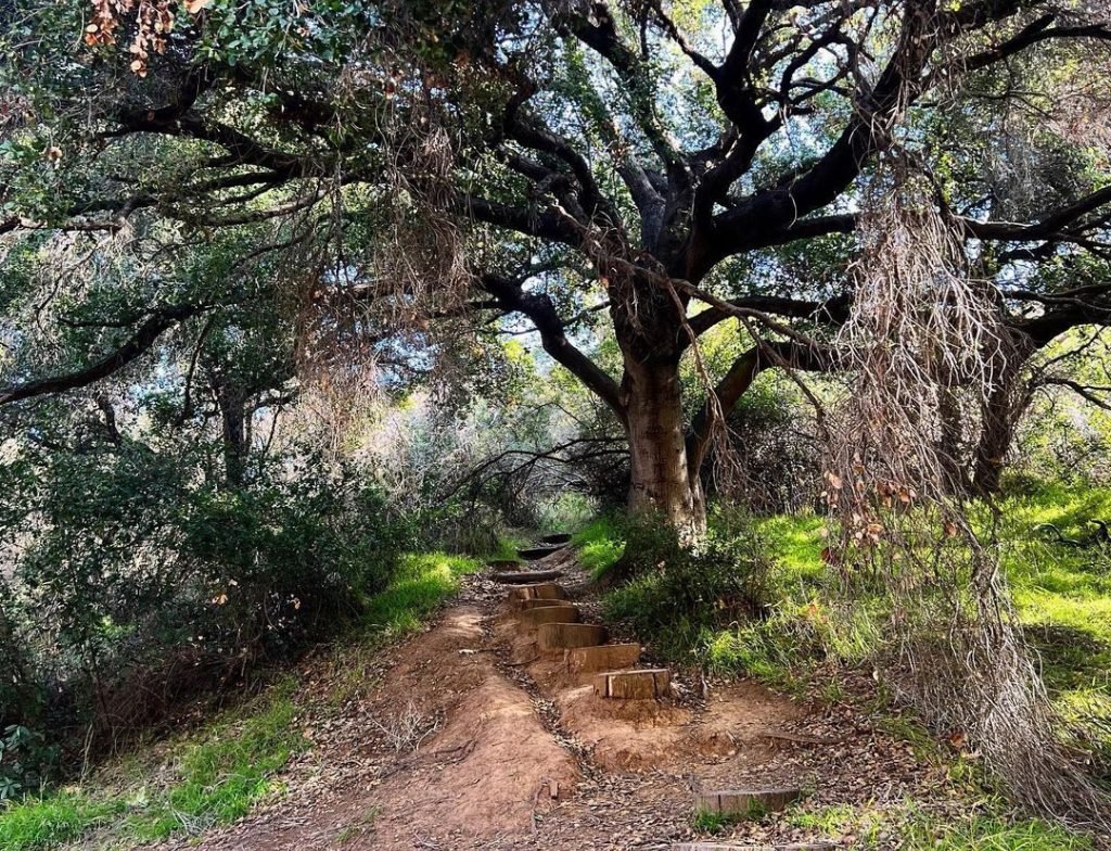 Temescal ridge Trail