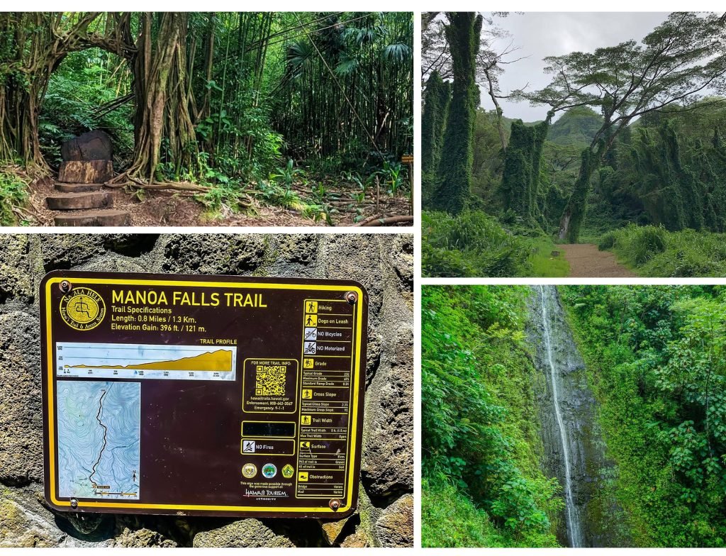 Manoa Falls Trail photos