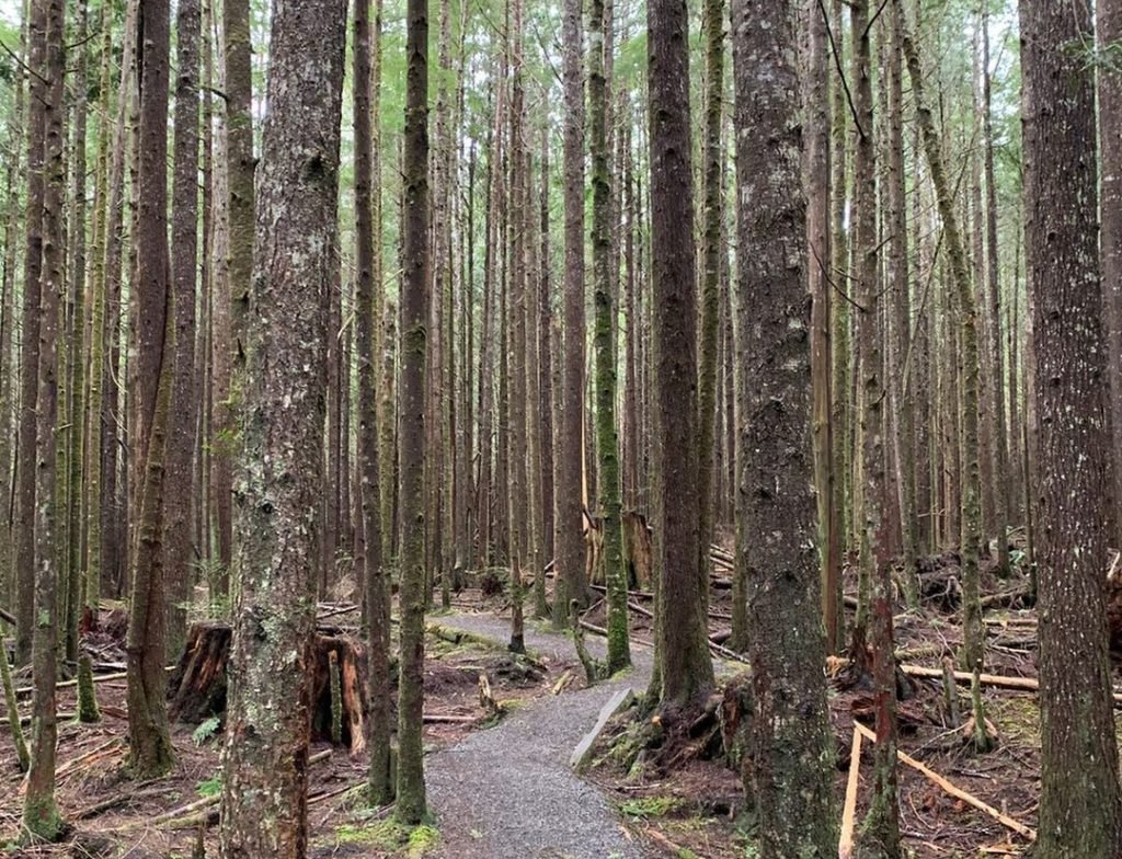 hike Shi Shi Beach