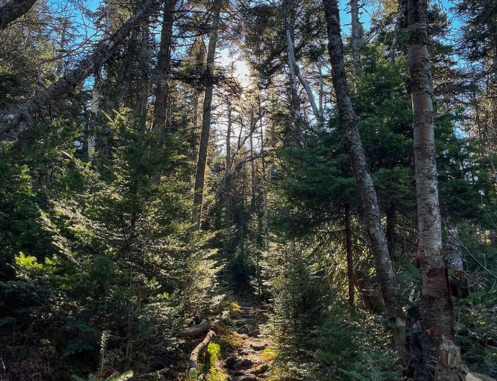 Cataract Falls trailhead