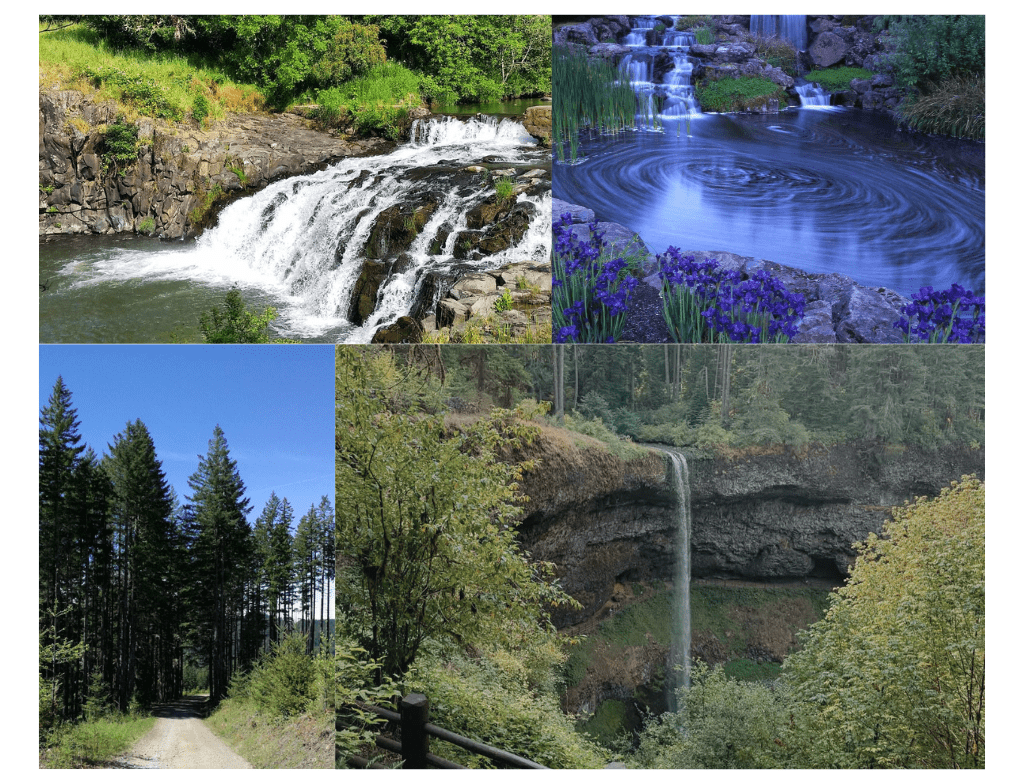 Abiqua Falls trailhead photos