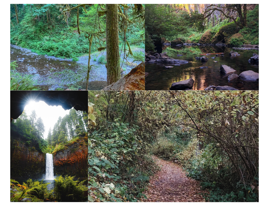 Abiqua Falls photos