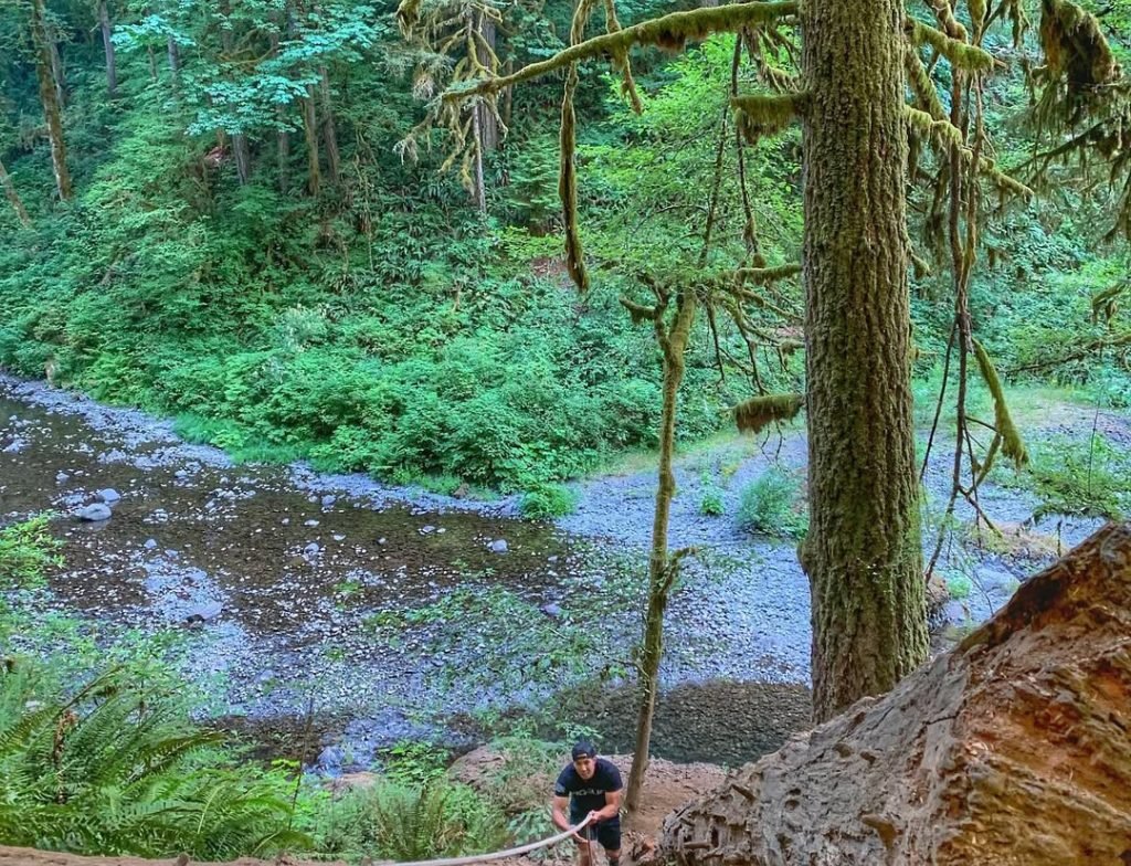 Abiqua Falls trail