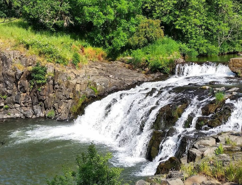 scotts mills falls