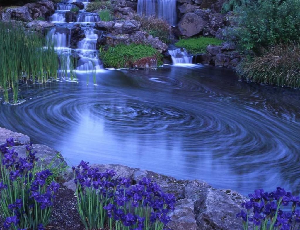 oregon garden
