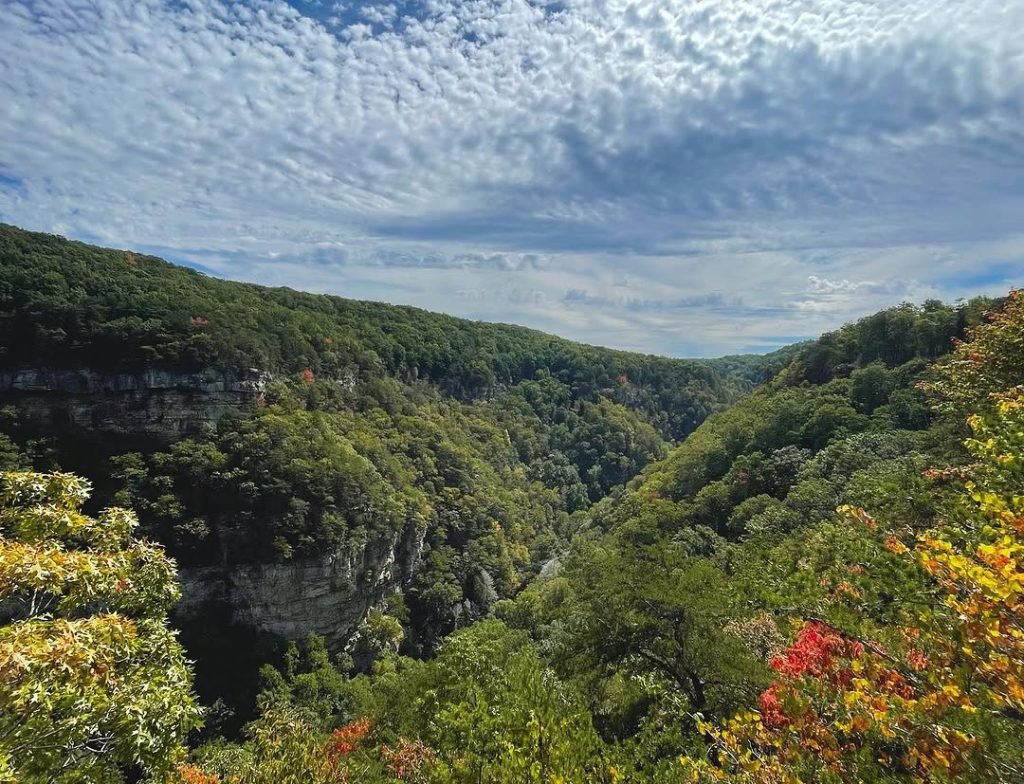 cloudland canyon park wy georgia