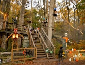 sandy spring park