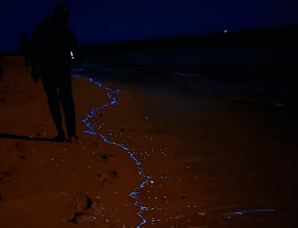 astola island at night