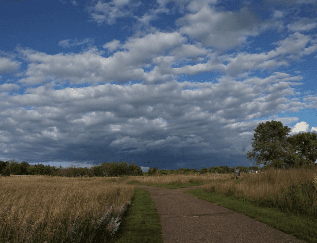 rice creek trail